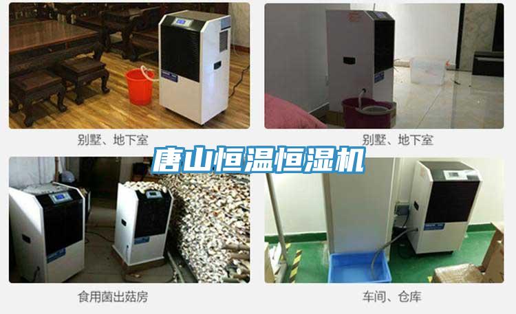 唐山恒温恒湿机