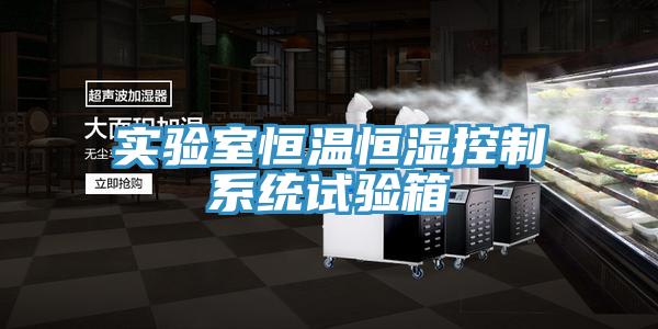实验室恒温恒湿控制系统试验箱