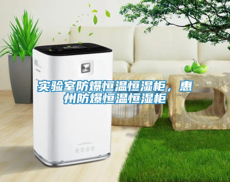 实验室防爆恒温恒湿柜，惠州防爆恒温恒湿柜