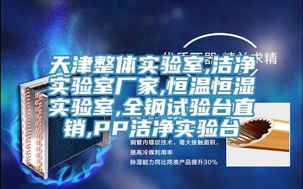 天津整体实验室,洁净实验室厂家,恒温恒湿实验室,全钢试验台直销,PP洁净实验台