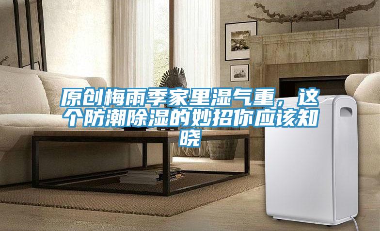 原创梅雨季家里湿气重，这个防潮除湿的妙招你应该知晓