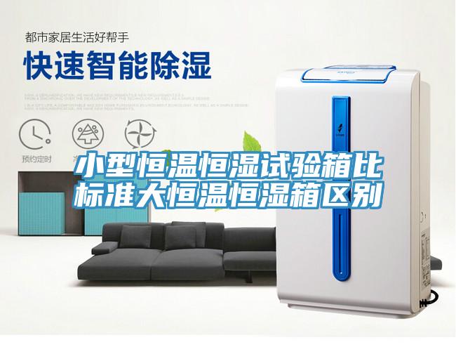 小型恒温恒湿试验箱比标准大恒温恒湿箱区别