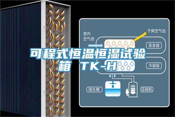 可程式恒温恒湿试验箱 TK-H