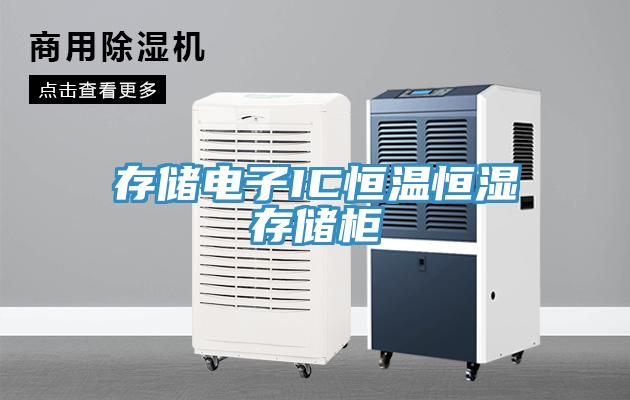 存储电子IC恒温恒湿存储柜