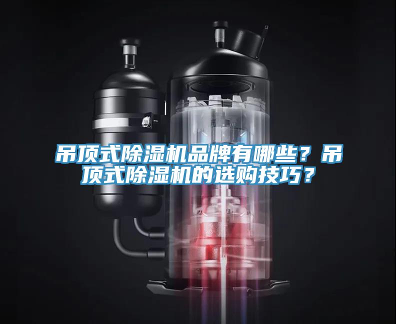 吊顶式除湿机品牌有哪些？吊顶式除湿机的选购技巧？
