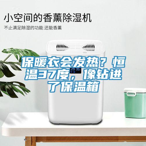 保暖衣会发热?恒温37度,像钻进了保温箱
