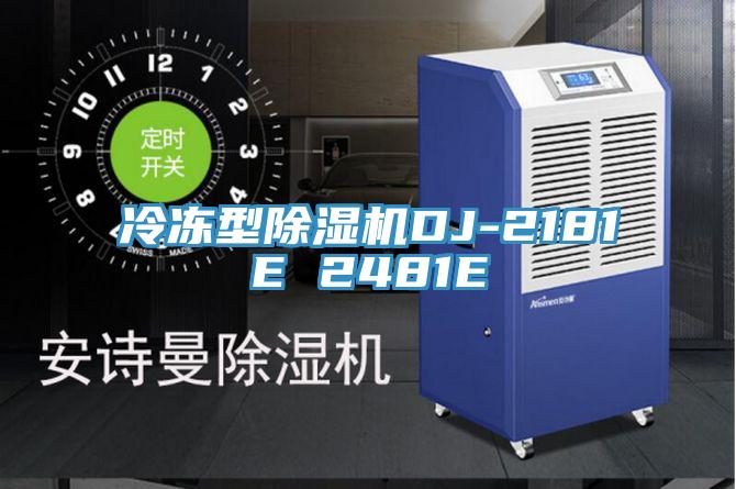 冷冻型除湿机DJ-2181E 2481E
