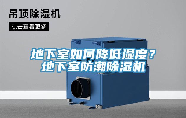 地下室如何降低湿度？地下室防潮除湿机