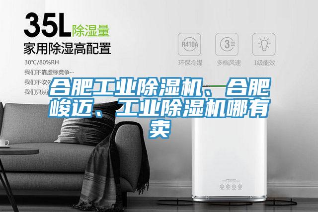 合肥工业除湿机、合肥峻迈、工业除湿机哪有卖