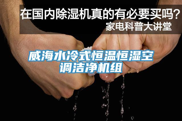 威海水冷式恒温恒湿空调洁净机组