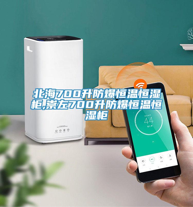 北海700升防爆恒温恒湿柜,崇左700升防爆恒温恒湿柜