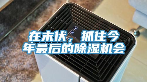 在末伏，抓住今年最后的除湿机会
