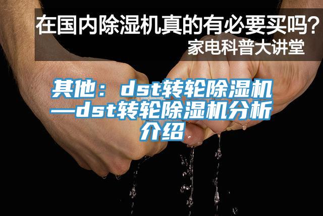 其他：dst转轮除湿机—dst转轮除湿机分析介绍