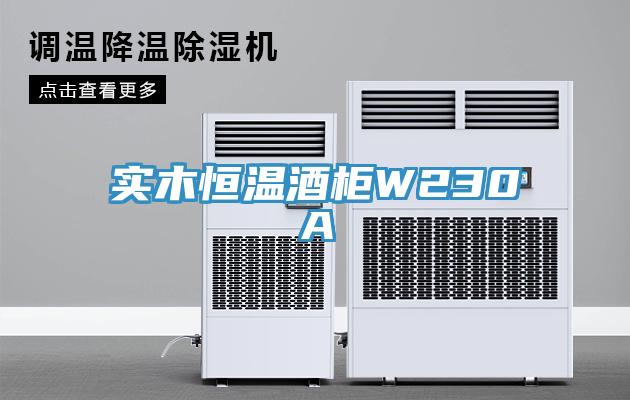 实木恒温酒柜W230A
