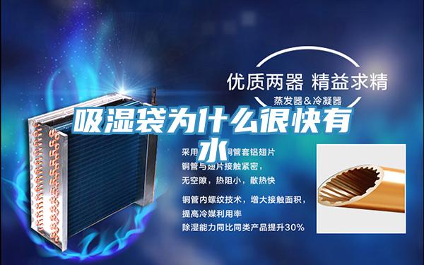 吸湿袋为什么很快有水