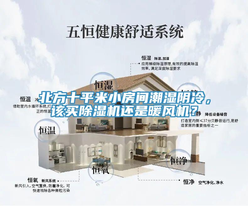 北方十平米小房间潮湿阴冷，该买除湿机还是暖风机？