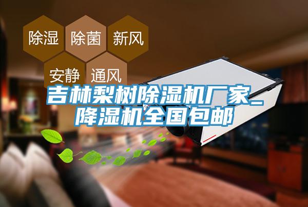 吉林梨树除湿机厂家_降湿机全国包邮