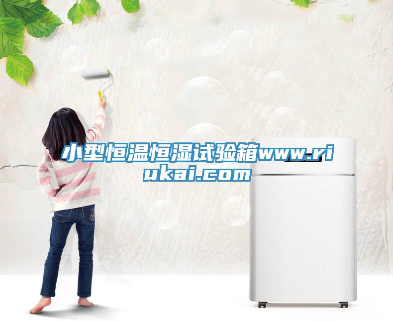 小型恒温恒湿试验箱www.riukai.com