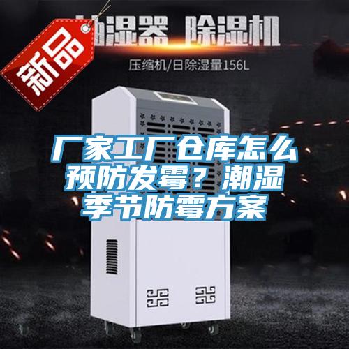 厂家工厂仓库怎么预防发霉？潮湿季节防霉方案