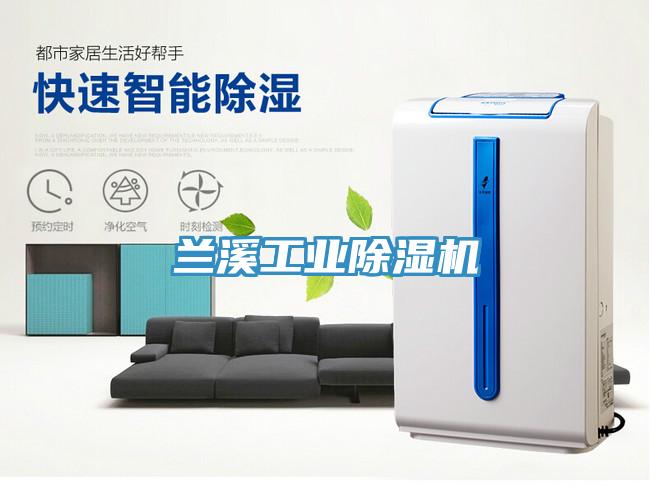 兰溪工业除湿机