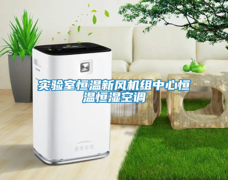 实验室恒温新风机组中心恒温恒湿空调
