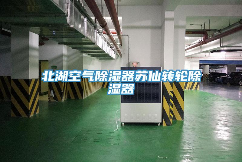 北湖空气除湿器苏仙转轮除湿器