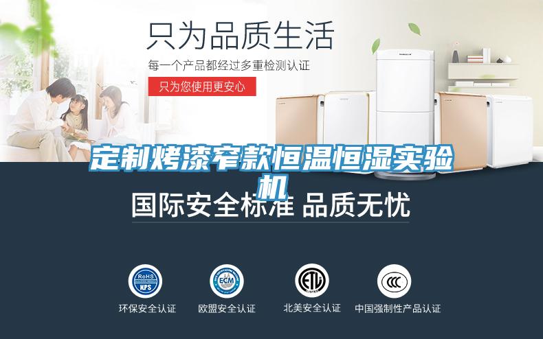 定制烤漆窄款恒温恒湿实验机