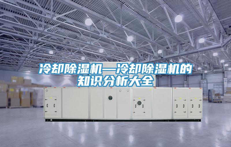 冷却除湿机—冷却除湿机的知识分析大全