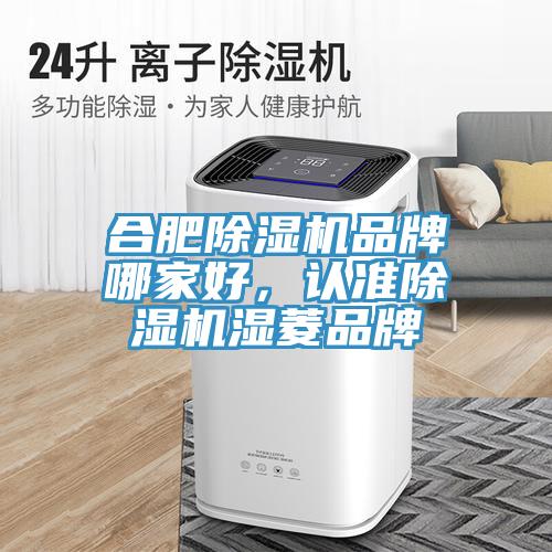 合肥除湿机品牌哪家好，认准除湿机湿菱品牌
