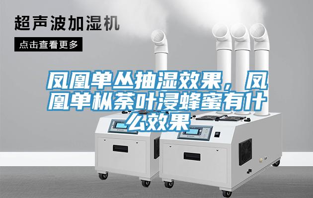 凤凰单丛抽湿效果，凤凰单枞荼叶浸蜂蜜有什么效果