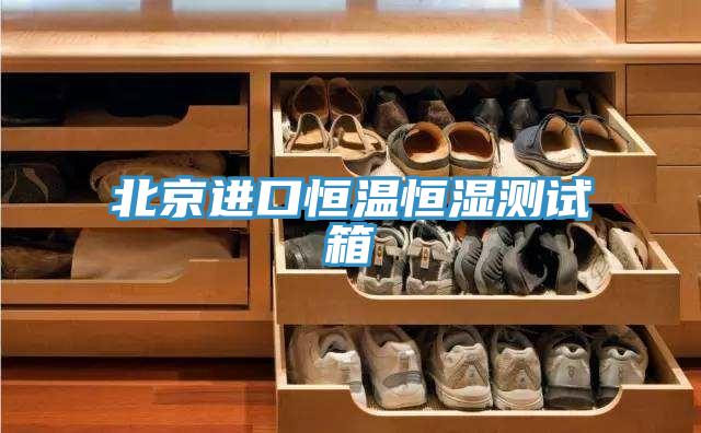北京进口恒温恒湿测试箱