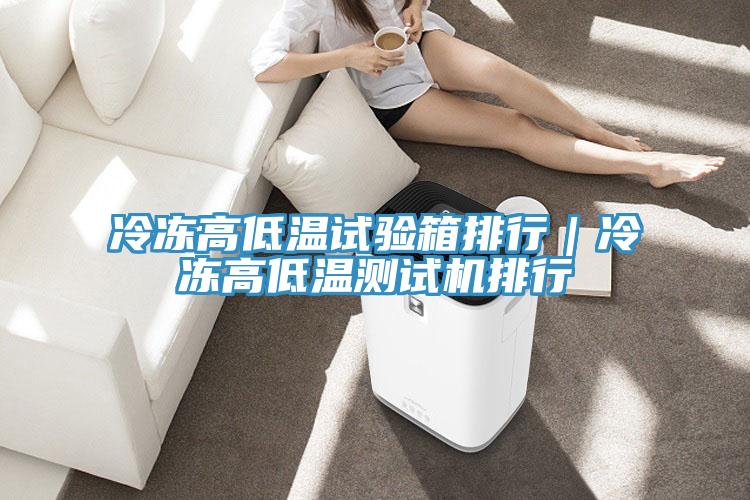 冷冻高低温试验箱排行｜冷冻高低温测试机排行