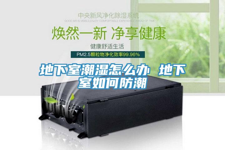 地下室潮湿怎么办 地下室如何防潮