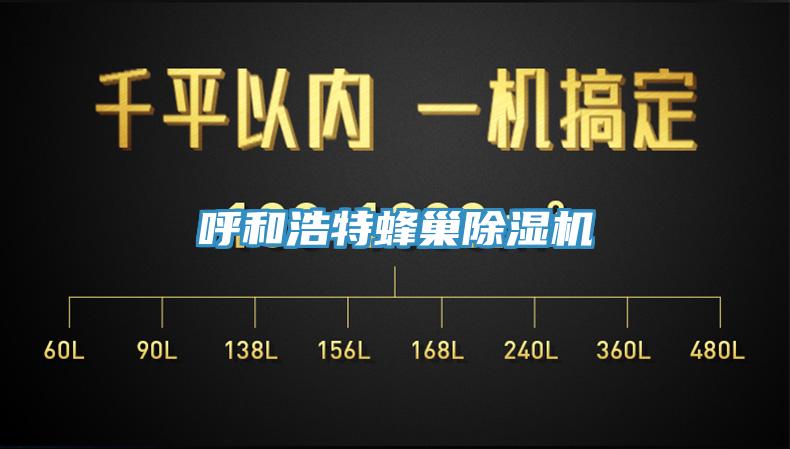 呼和浩特蜂巢除湿机