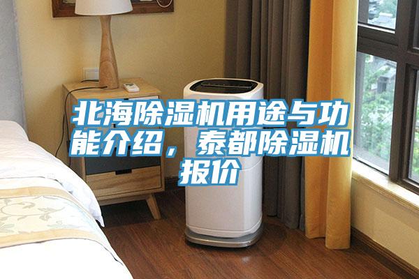 北海除湿机用途与功能介绍，泰都除湿机报价