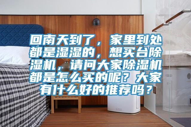 回南天到了，家里到处都是湿湿的，想买台除湿机，请问大家除湿机都是怎么买的呢？大家有什么好的推荐吗？