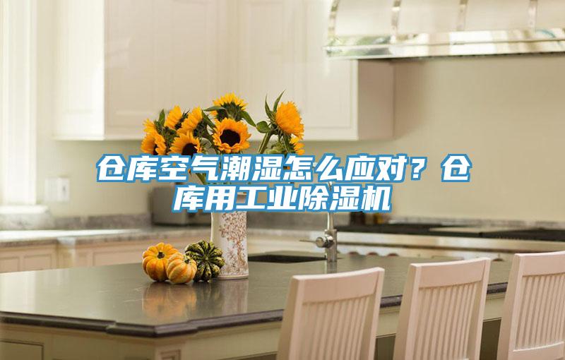 仓库空气潮湿怎么应对？仓库用工业除湿机
