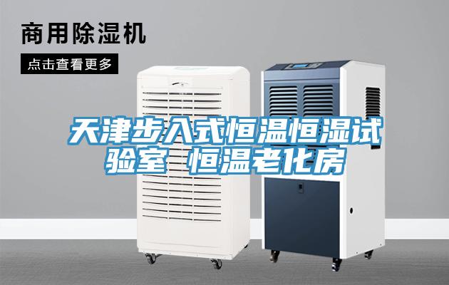 天津步入式恒温恒湿试验室 恒温老化房