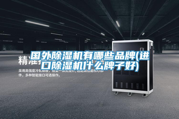 国外除湿机有哪些品牌(进口除湿机什么牌子好)