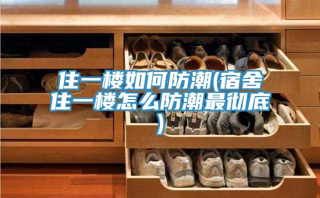住一楼如何防潮(宿舍住一楼怎么防潮最彻底)