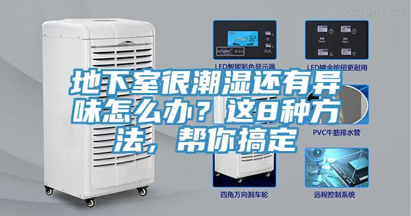 地下室很潮湿还有异味怎么办？这8种方法，帮你搞定
