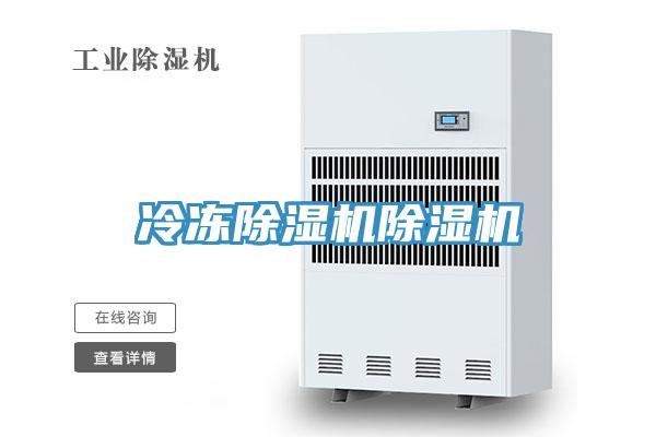 冷冻除湿机除湿机