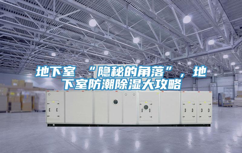 地下室≠“隐秘的角落”，地下室防潮除湿大攻略