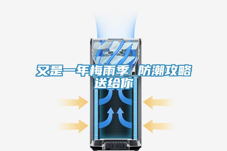 又是一年梅雨季 防潮攻略送给你