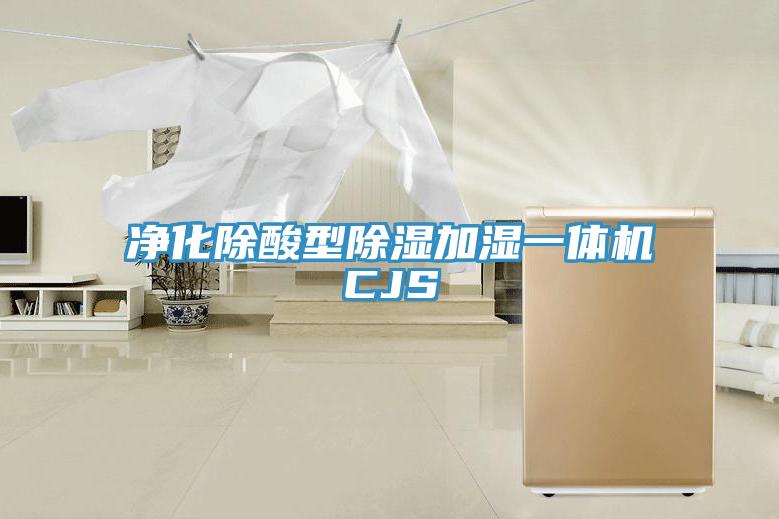 净化除酸型除湿加湿一体机CJS