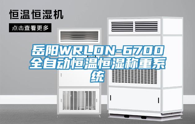岳阳WRLDN-6700全自动恒温恒湿称重系统