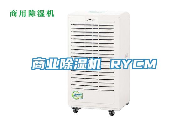 商业除湿机 RYCM
