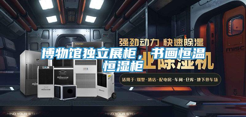 博物馆独立展柜，书画恒温恒湿柜