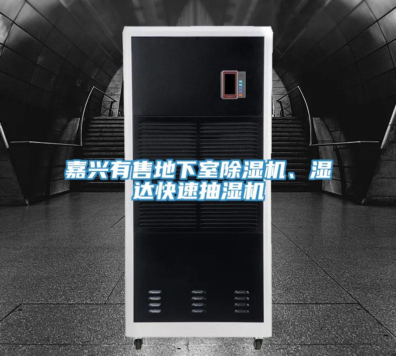 嘉兴有售地下室除湿机、湿达快速抽湿机