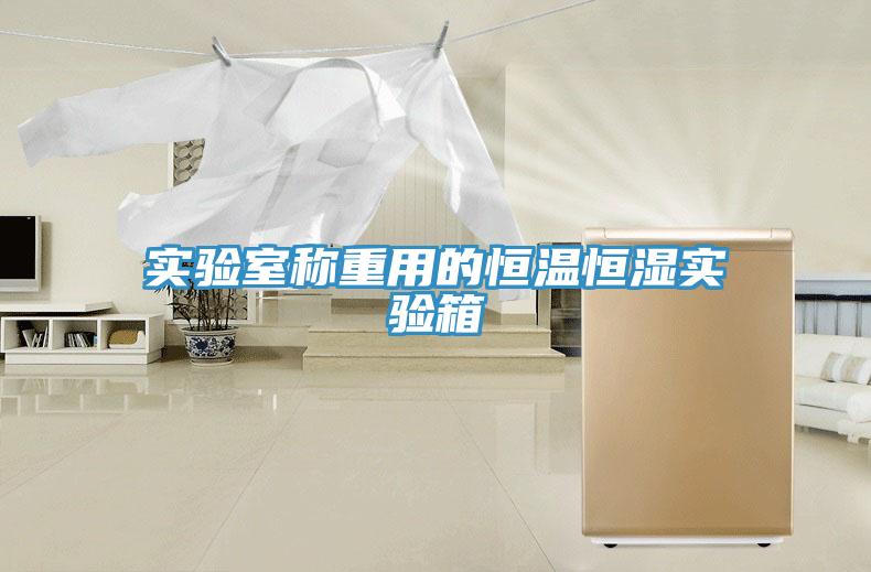 实验室称重用的恒温恒湿实验箱